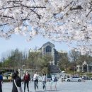 209.서울병원_3 이미지