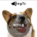 커츄츄 네이버블로그