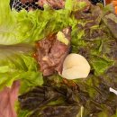 행구로 | 원주 회식장소 추천! 단체모임, 데이트 맛집, 마늘폭탄 갈비살 강추 "봉산동고기집"! 후기