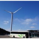 (주)대관령전망대