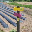 용담면행정복지센터 이미지