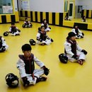 VTS 태권스쿨 이미지