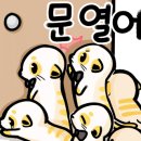 하이제씨 - 종로구 | 하이제씨