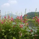 경안천누리길 이미지