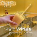 [청라카페]과일주스전문 고망고 청라커낼점 내돈내산 방문 후기