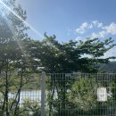 강나루캠핑야영장 이미지