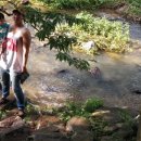 배나무집 이미지