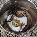 고성 다이노 캠핑장 이미지