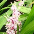 길상초등학교 이미지