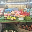 설악산단풍빵 | 속초특산품 속초중앙시장 설악산단풍빵 여행기념품 명절선물 간식추천