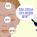 비타팜스