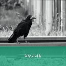 신림동고시원 덕상고시원 안전하고 쾌적한 고시원