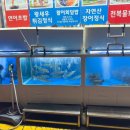 매일스시
