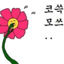 영도빨간등대밀면 이미지