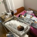 씨유 성남제일초점 | 분당제일여성병원 1인실 가형 입원 후기 비용 제왕절개 후 모자동실 도전 빠른회복 꿀팁