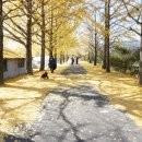 의동마을 이미지