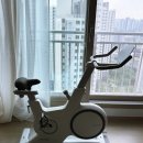 미니벨로 접이식 자전거 티티카카 스트림 D7 완조립 내돈내산 후기
