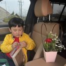 노대우리치과의원 | 서산 바른손치과 주차 예약방법 영업시간 유아진료과목 6세 유치발치 비용 및 후기