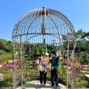 관천 | 할머니 할아버지까지! 전 세대가 만족한 관천 서울대고오원 나들이 후기 (리프트, 코끼리열차 꿀팁 총정리)