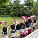 숲속리더유치원 이미지