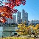 원천호수 이미지