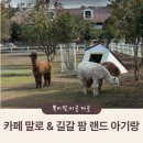 길갈 | 제주 아기랑 가볼만한 곳 카페말로 길갈팜랜드 후기