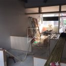 밀크숑 애견샵 이미지