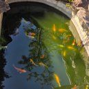 한우고집 | [백암한우 열옥준] 기대보단 무난했던 고집 솔직 후기