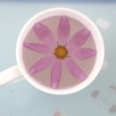 새벽아침농장 이미지