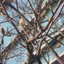 성북동-880 이미지