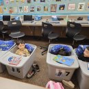 홈드림캠프 | 벚꽃 + 눈 = 3월