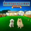 멍스클럽 네이버블로그