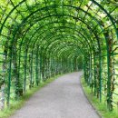 솔안농장 이미지