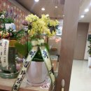 동문한의원 이미지