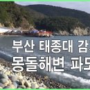 태종대 감지해변 몽돌해변 파도소리 asmr 자갈 굴러가는소리 ~ Pebble beach 3 hours,nature sounds 이미지