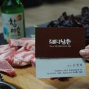 돼지삼촌 이미지
