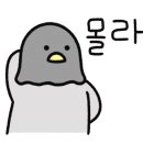 유모터스 이미지