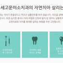 서울삼성치과의원 이미지