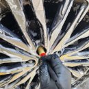 씨티엠셀프세차장 이미지