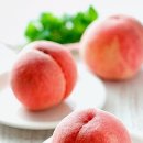 서현전자 이미지