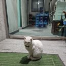 화로구이 | [남양주] 현지인 고기맛집 '양주골화로구이' 솔직후기