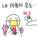 영화미용실 - 철원군 | 영화미용실