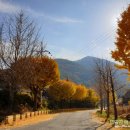 함마대로 이미지