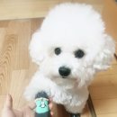 그루밍선데이 이미지