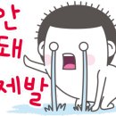 보성전집 이미지