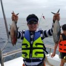 대중부동산 이미지