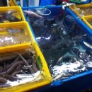 부산활어 이미지