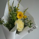 Green Colo 이미지