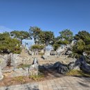 야외무대장 이미지