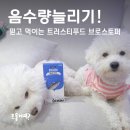 강아지 음수량 늘리기 걱정 끝! 트러스티푸드 브로스토퍼 리얼 후기